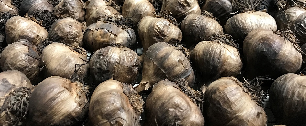 Le Petit Mas ail noir biologique VRAC